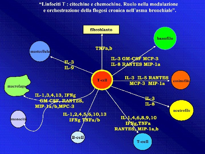 antiasma Giuseppe Nocentini, Dip. Medicina Clinica e Sperimentale, Università degli Studi di Perugia 24