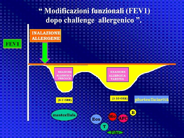 antiasma Giuseppe Nocentini, Dip. Medicina Clinica e Sperimentale, Università degli Studi di Perugia 26