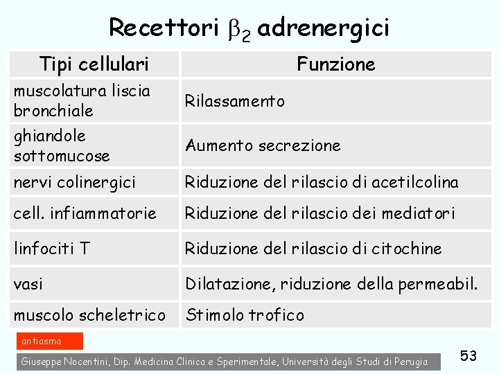 Recettori 2 adrenergici Tipi cellulari muscolatura liscia bronchiale ghiandole sottomucose Funzione Rilassamento Aumento secrezione