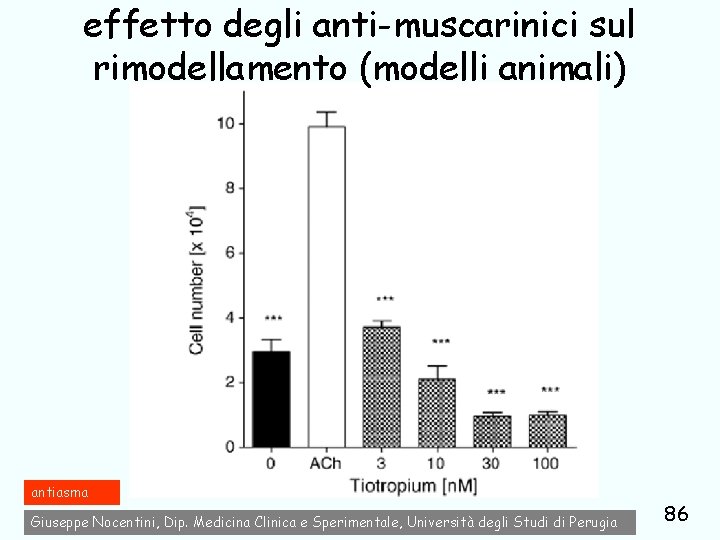 effetto degli anti-muscarinici sul rimodellamento (modelli animali) antiasma Giuseppe Nocentini, Dip. Medicina Clinica e