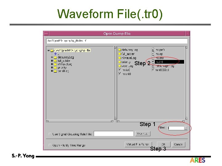 Waveform File(. tr 0) Step 2 Step 1 Step 3 S. -P. Yong ARES