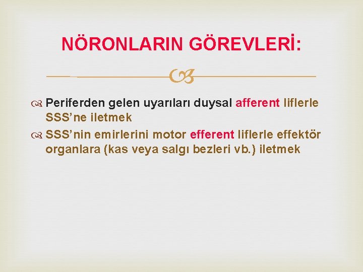 NÖRONLARIN GÖREVLERİ: Periferden gelen uyarıları duysal afferent liflerle SSS’ne iletmek SSS’nin emirlerini motor efferent