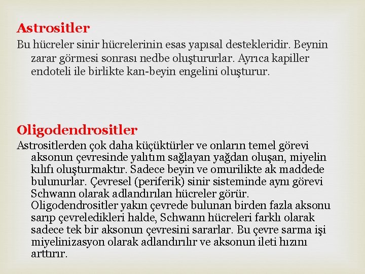 Astrositler Bu hücreler sinir hücrelerinin esas yapısal destekleridir. Beynin zarar görmesi sonrası nedbe oluştururlar.