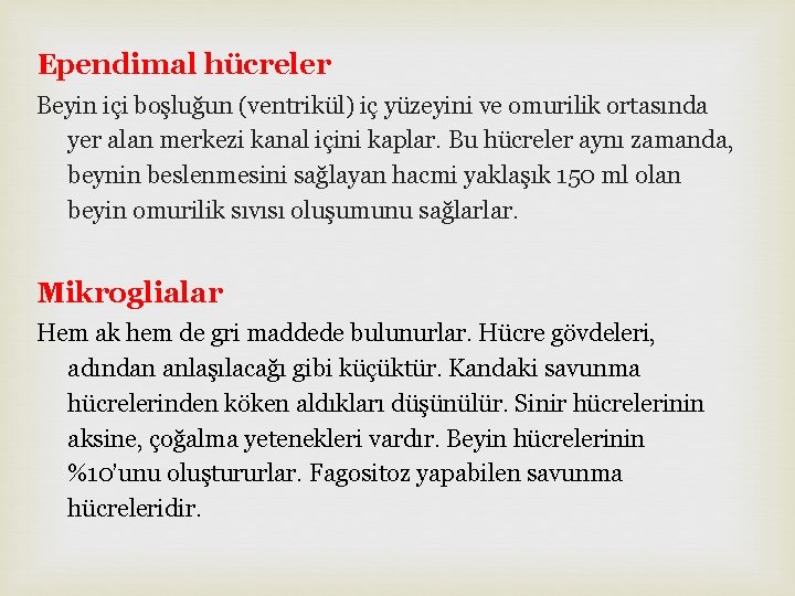 Ependimal hücreler Beyin içi boşluğun (ventrikül) iç yüzeyini ve omurilik ortasında yer alan merkezi