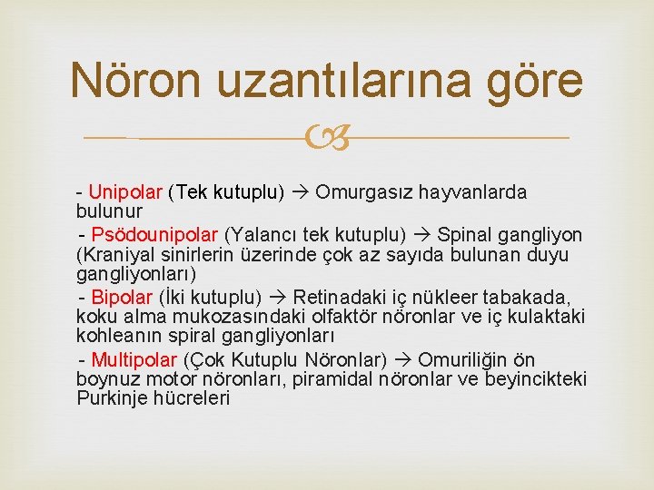 Nöron uzantılarına göre - Unipolar (Tek kutuplu) Omurgasız hayvanlarda bulunur - Psödounipolar (Yalancı tek