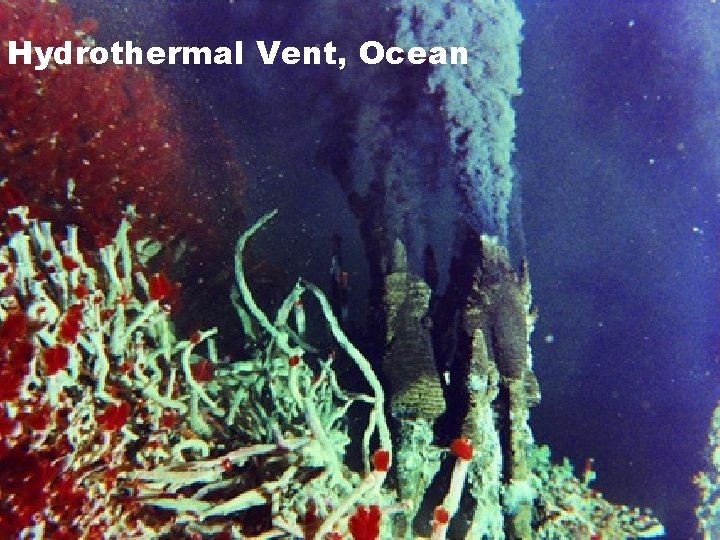 Hydrothermal Vent, Ocean 