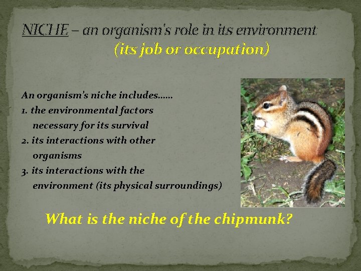 NICHE – an organism's role in its environment (its job or occupation) An organism’s