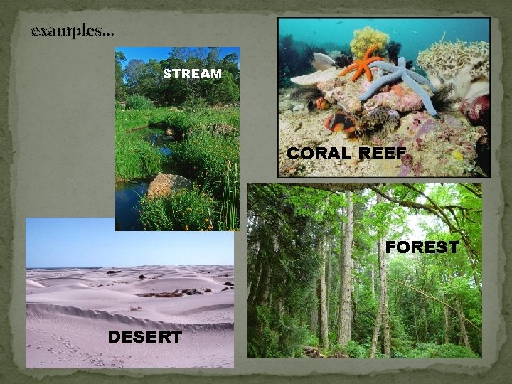 examples… STREAM CORAL REEF FOREST DESERT 