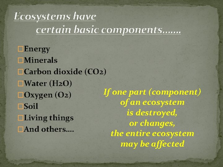 Ecosystems have certain basic components……. �Energy �Minerals �Carbon dioxide (CO 2) �Water (H 2