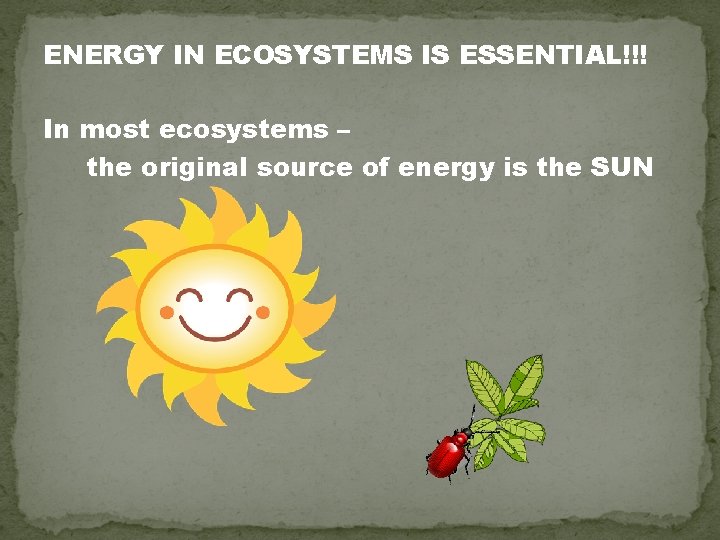 ENERGY IN ECOSYSTEMS IS ESSENTIAL!!! In most ecosystems – the original source of energy
