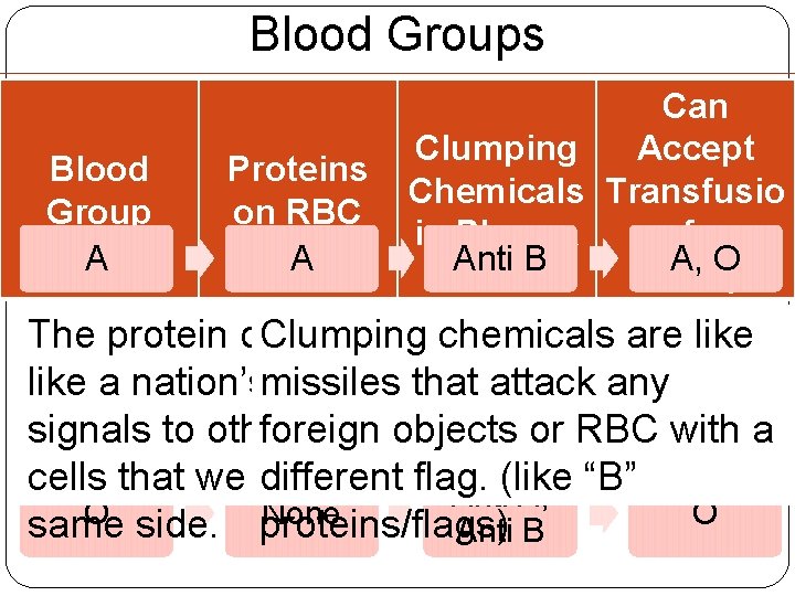 Blood Groups Blood Group A Proteins on RBC A Can Accept Clumping Chemicals Transfusio Blood Groups Blood Group A Proteins on RBC A Can Accept Clumping Chemicals Transfusio