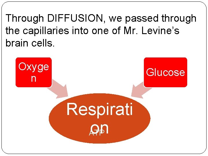 Through DIFFUSION, we passed through the capillaries into one of Mr. Levine’s brain cells. Through DIFFUSION, we passed through the capillaries into one of Mr. Levine’s brain cells.