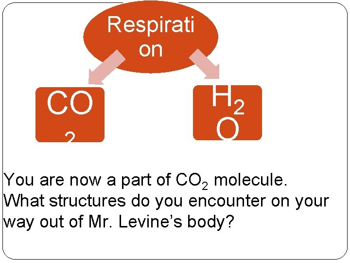 Respirati on CO 2 H 2 O You are now a part of CO Respirati on CO 2 H 2 O You are now a part of CO
