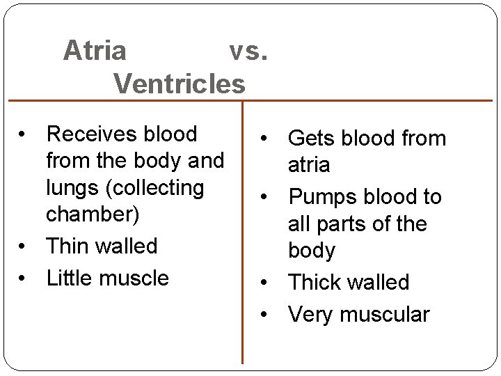 Atria vs. Ventricles • Receives blood from the body and lungs (collecting chamber) • Atria vs. Ventricles • Receives blood from the body and lungs (collecting chamber) •