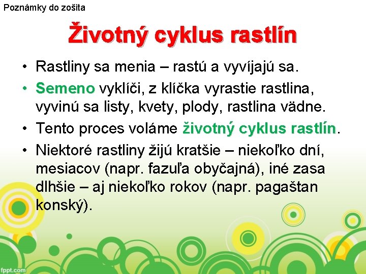 Poznámky do zošita Životný cyklus rastlín • Rastliny sa menia – rastú a vyvíjajú