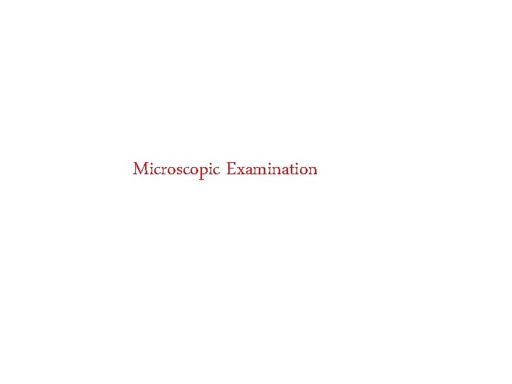Microscopic Examination 