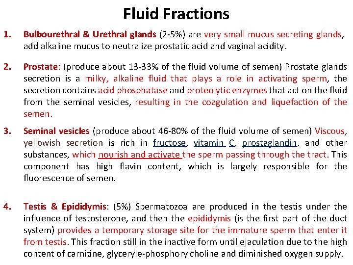 Fluid Fractions 1. Bulbourethral & Urethral glands (2 -5%) are very small mucus secreting