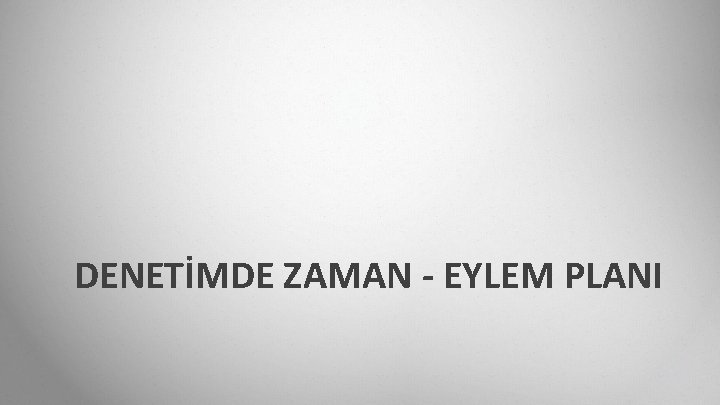 DENETİMDE ZAMAN - EYLEM PLANI 