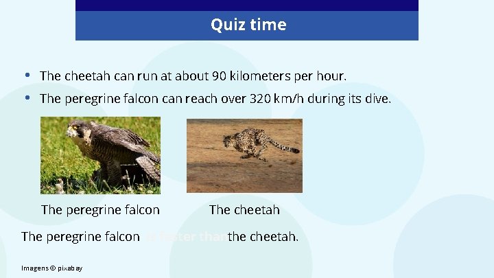 Quiz time • • The cheetah can run at about 90 kilometers per hour.