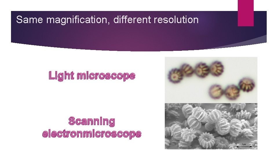 Same magnification, different resolution Light microscope Scanning electronmicroscope 