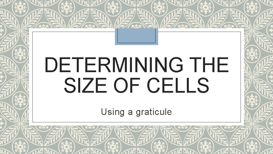 DETERMINING THE SIZE OF CELLS Using a graticule 