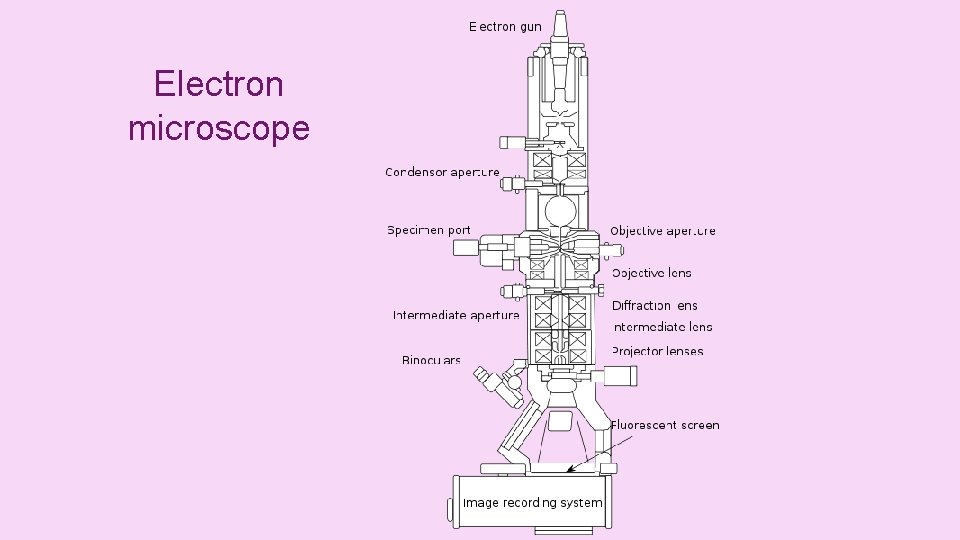 Electron microscope 