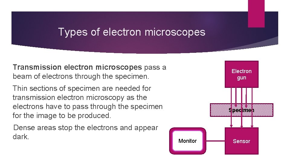 Types of electron microscopes Transmission electron microscopes pass a beam of electrons through the