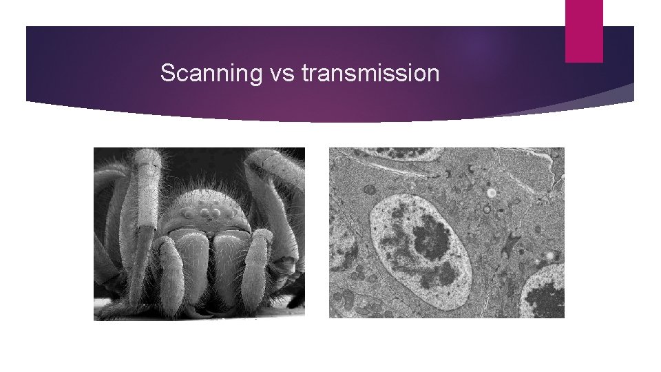 Scanning vs transmission 