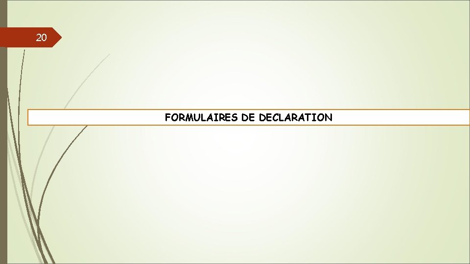 20 FORMULAIRES DE DECLARATION 
