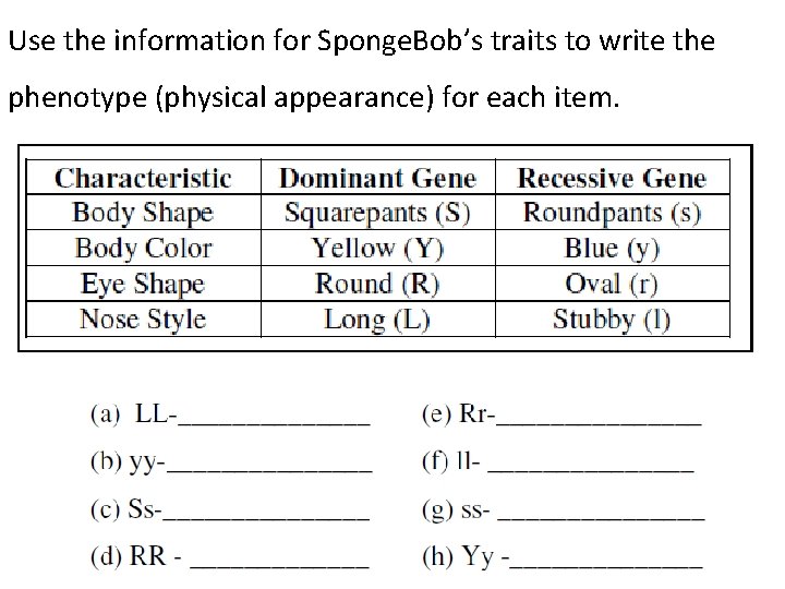 Use the information for Sponge. Bob’s traits to write the phenotype (physical appearance) for
