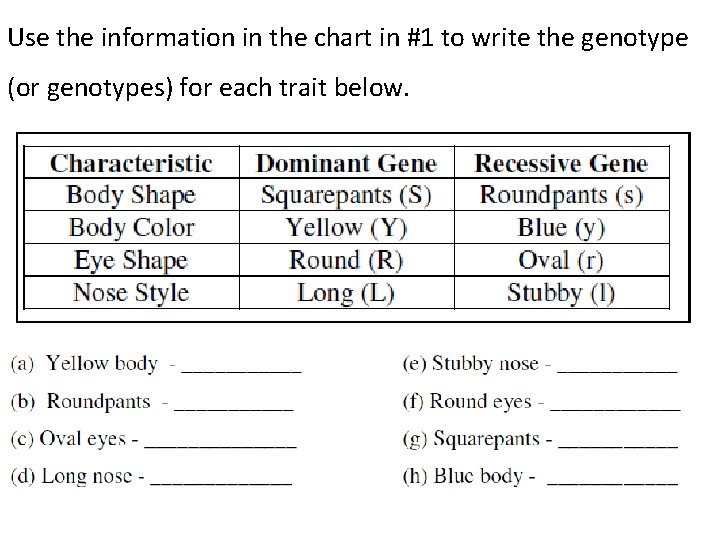 Use the information in the chart in #1 to write the genotype (or genotypes)
