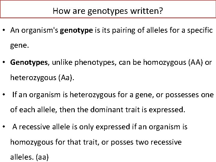 How are genotypes written? • An organism's genotype is its pairing of alleles for