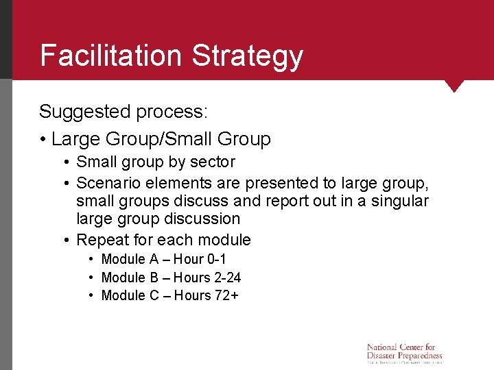 Facilitation Strategy Suggested process: • Large Group/Small Group • Small group by sector • Facilitation Strategy Suggested process: • Large Group/Small Group • Small group by sector •