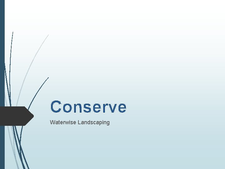 Conserve Waterwise Landscaping 