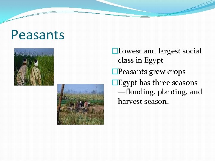 Peasants �Lowest and largest social class in Egypt �Peasants grew crops �Egypt has three