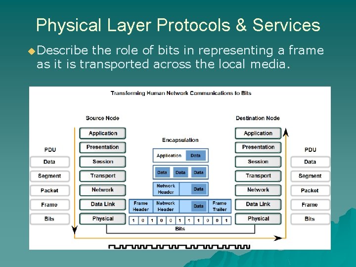 Physical Layer Protocols & Services u Describe the role of bits in representing a