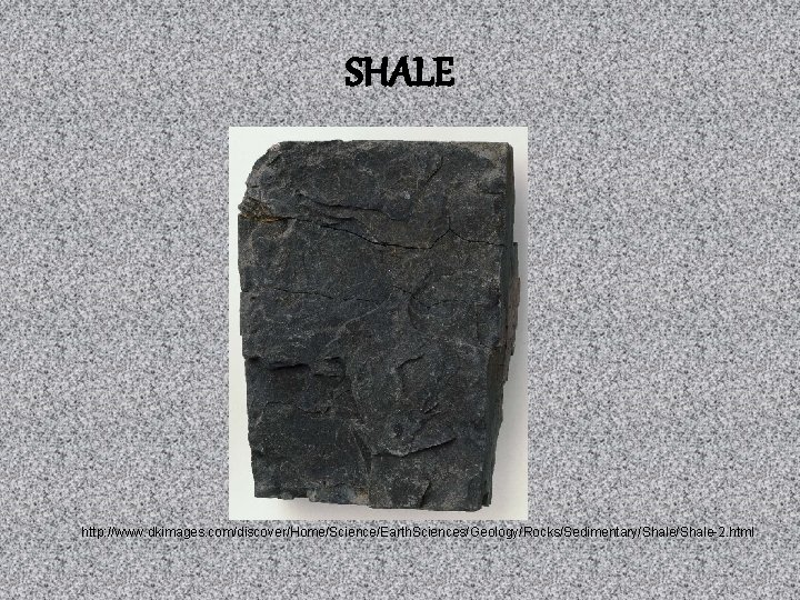 SHALE http: //www. dkimages. com/discover/Home/Science/Earth. Sciences/Geology/Rocks/Sedimentary/Shale-2. html 