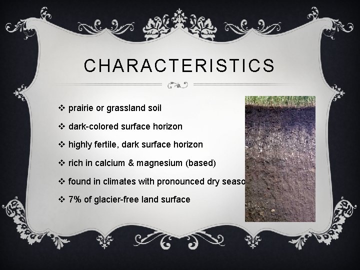 CHARACTERISTICS v prairie or grassland soil v dark-colored surface horizon v highly fertile, dark