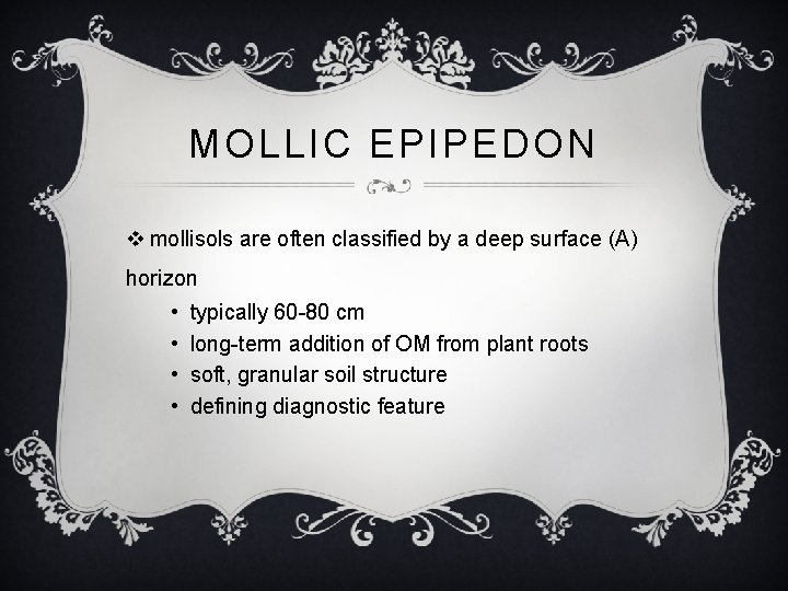 MOLLIC EPIPEDON v mollisols are often classified by a deep surface (A) horizon •