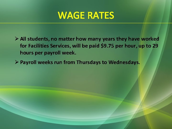 WAGE RATES Ø All students, no matter how many years they have worked for