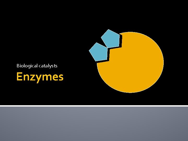 Biological catalysts Enzymes 