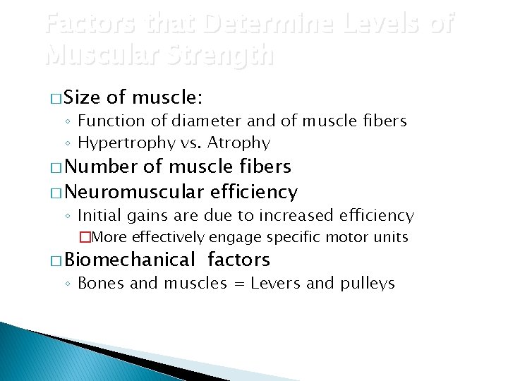 Factors that Determine Levels of Muscular Strength � Size of muscle: ◦ Function of