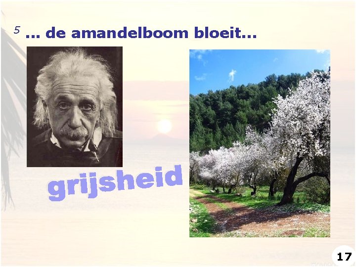 5 . . . de amandelboom bloeit. . . 17 