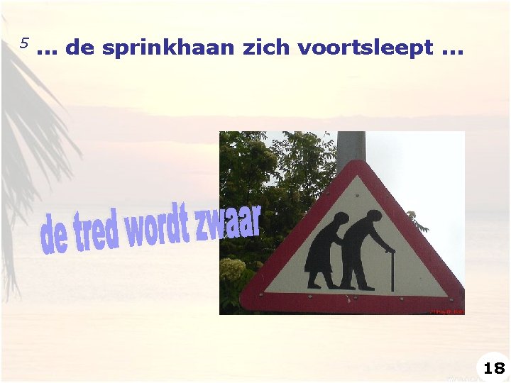 5 . . . de sprinkhaan zich voortsleept. . . 18 