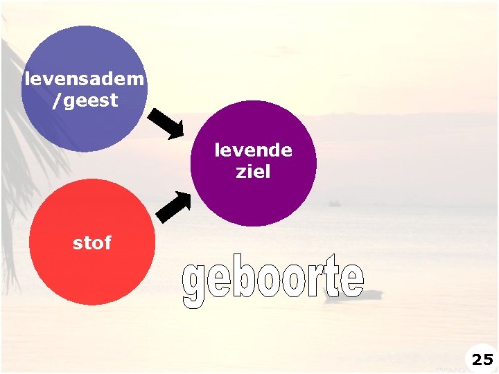 levensadem /geest levende ziel stof 25 