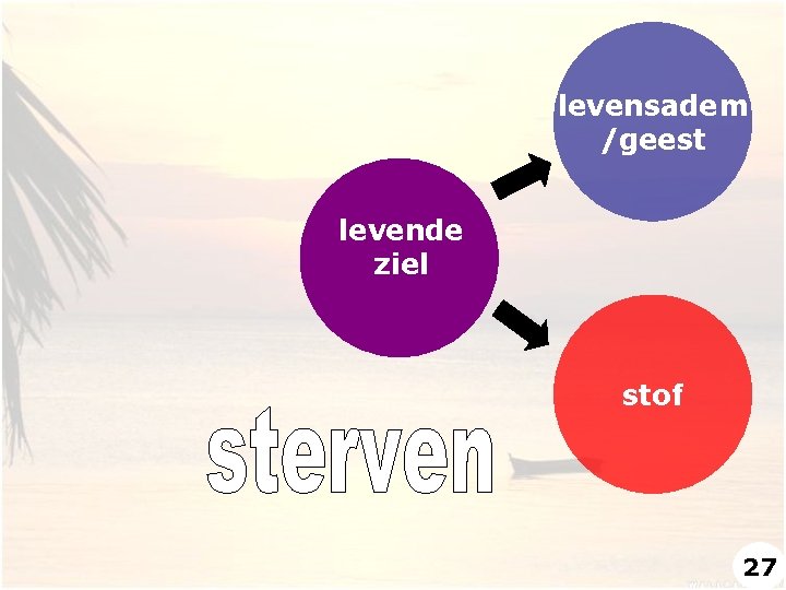 levensadem /geest levende ziel stof 27 levensadem /geest levende ziel stof 27