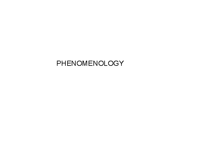 PHENOMENOLOGY 