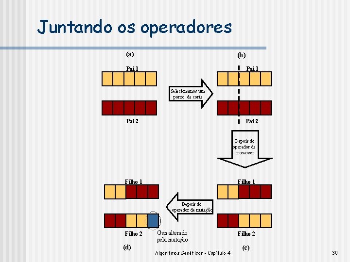 Juntando os operadores (a) (b) Pai 1 Selecionamos um ponto de corte Pai 2