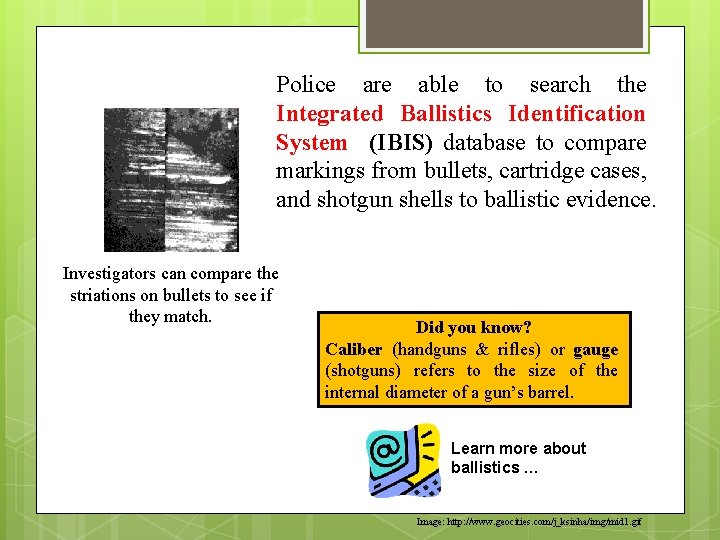 Police are able to search the Integrated Ballistics Identification System (IBIS) database to compare Police are able to search the Integrated Ballistics Identification System (IBIS) database to compare