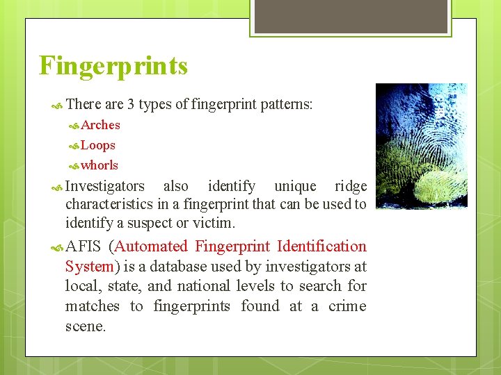 Fingerprints There are 3 types of fingerprint patterns: Arches Loops whorls Investigators also identify Fingerprints There are 3 types of fingerprint patterns: Arches Loops whorls Investigators also identify